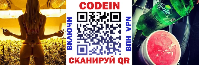 Купить закладки  Касли  Кодеиновый сироп Lean Purple Drank 