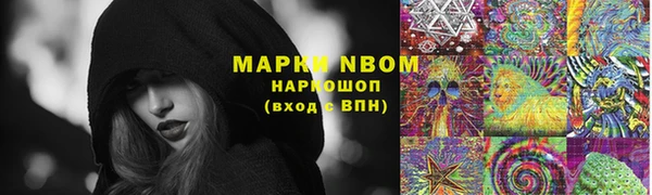 ПСИЛОЦИБИНОВЫЕ ГРИБЫ Ельня
