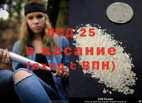 ПСИЛОЦИБИНОВЫЕ ГРИБЫ Ельня