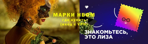 ПСИЛОЦИБИНОВЫЕ ГРИБЫ Ельня