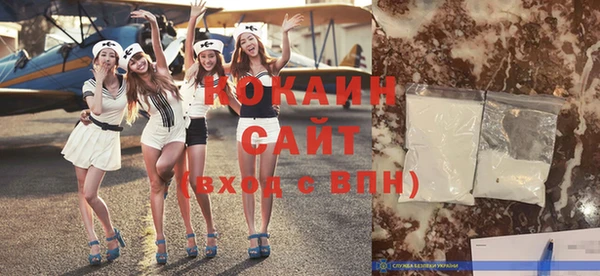 ПСИЛОЦИБИНОВЫЕ ГРИБЫ Ельня
