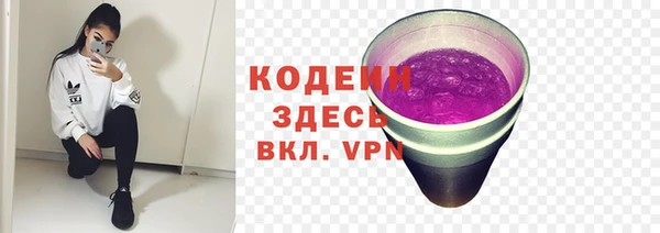 ПСИЛОЦИБИНОВЫЕ ГРИБЫ Ельня