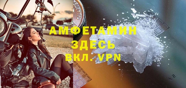ПСИЛОЦИБИНОВЫЕ ГРИБЫ Ельня