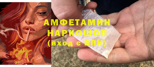 ПСИЛОЦИБИНОВЫЕ ГРИБЫ Ельня