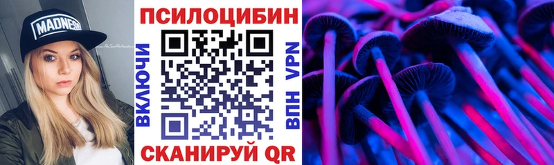 Купить закладки  Касли  Галлюциногенные грибы мицелий 